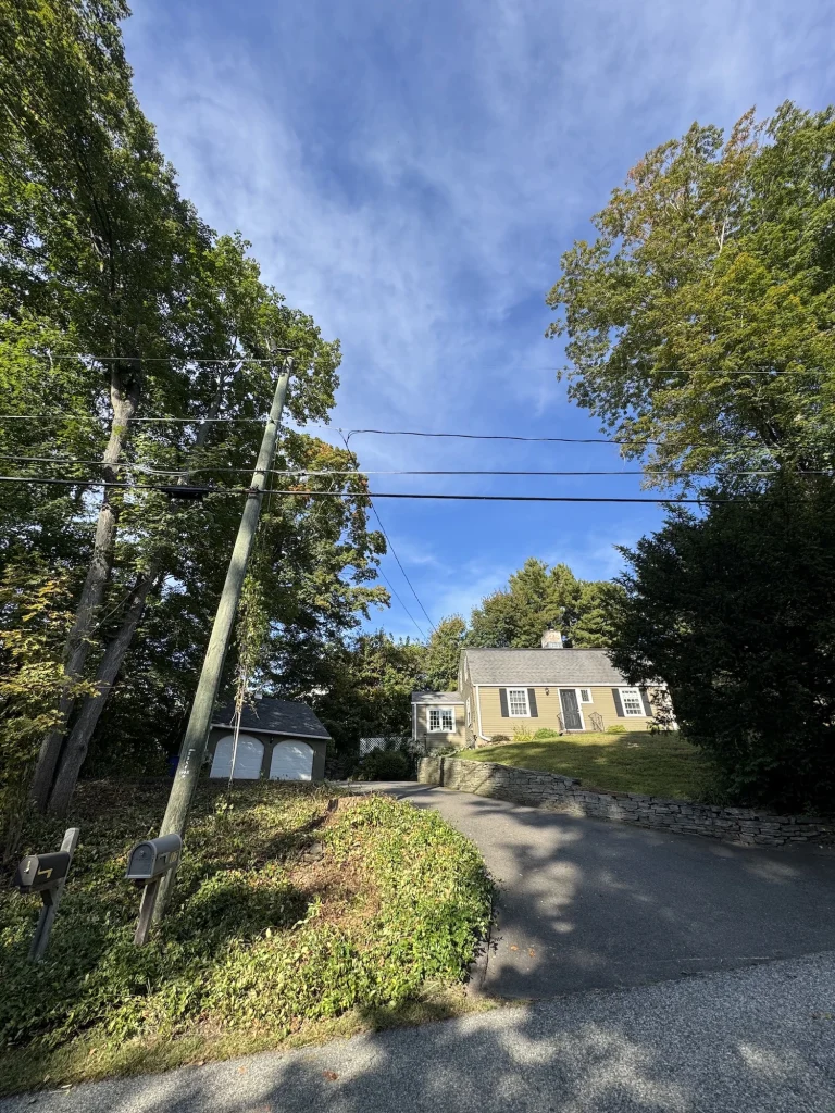 south glastonbury ct tree service jps