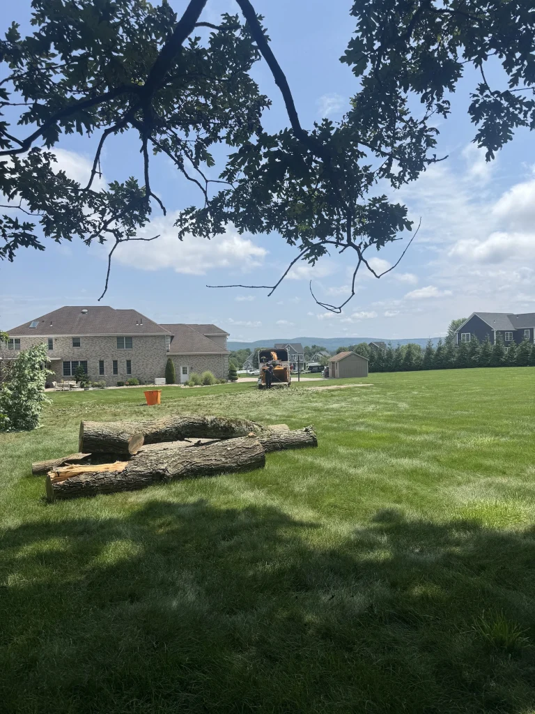 work at somers ct