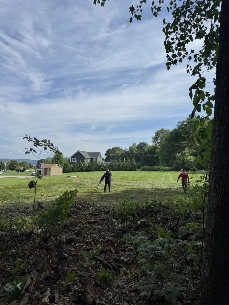 work at somers ct