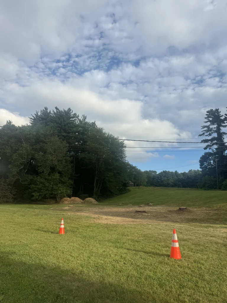 work at avon ct tree services jps