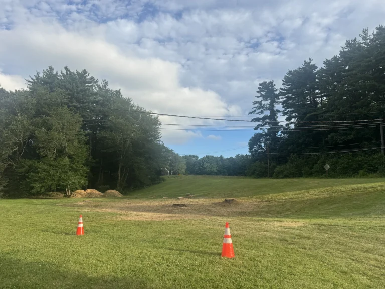 work at avon ct tree services jps